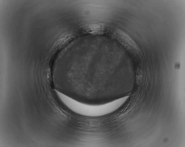 X0000097920748200804041523