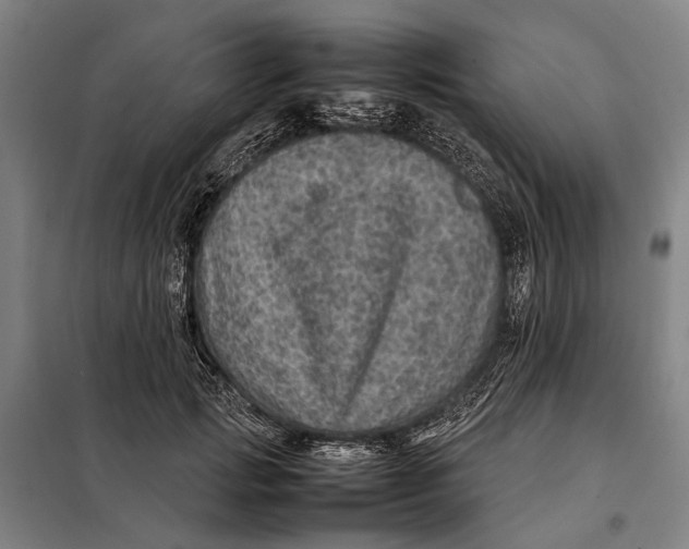 X0000097920749200804041523