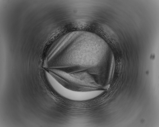 X0000097920750200804041523