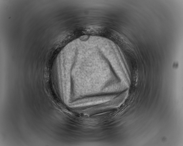 X0000097920751200804041523