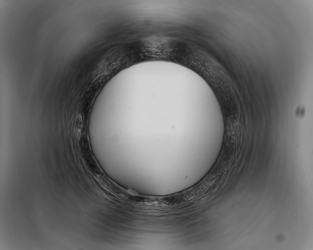 X0000097920752200804041523