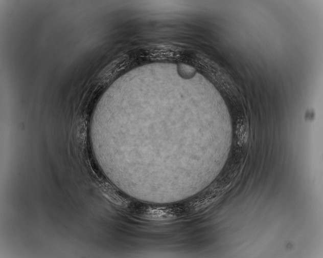 X0000097920753200804041523