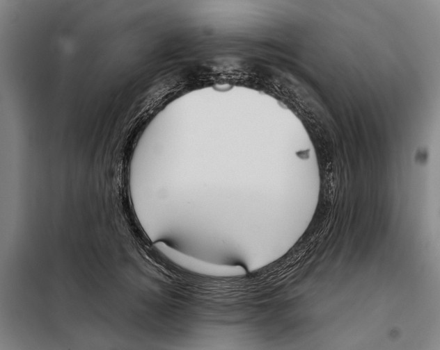 X0000097920756200804041523