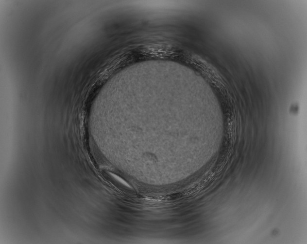 X0000097920757200804041523