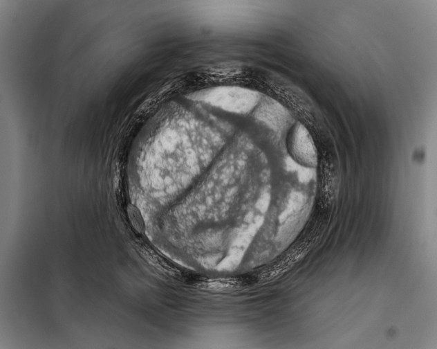 X0000097920758200804041523