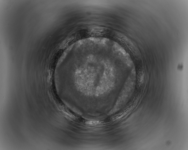 X0000097920759200804041523