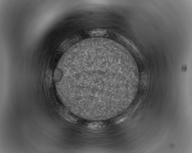 X0000097920761200804041524