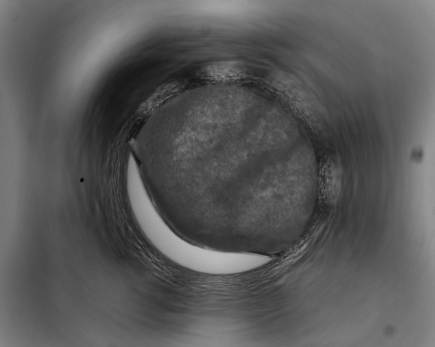 X0000097920762200804041524