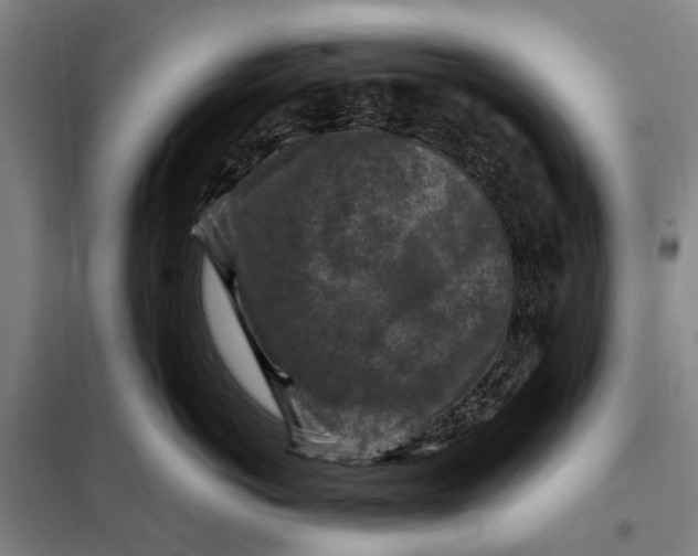 X0000097920766200804041524