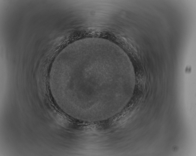 X0000097920769200804041523