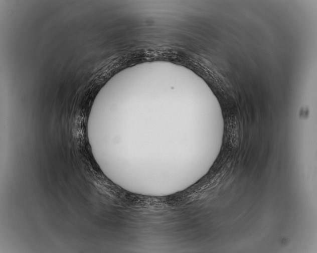 X0000097920770200804041523