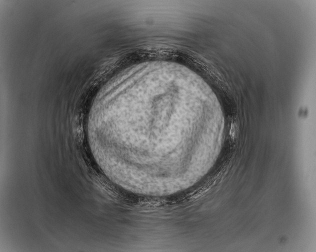 X0000097920771200804041523