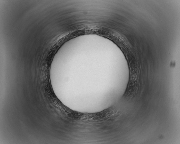 X0000097920773200804041523