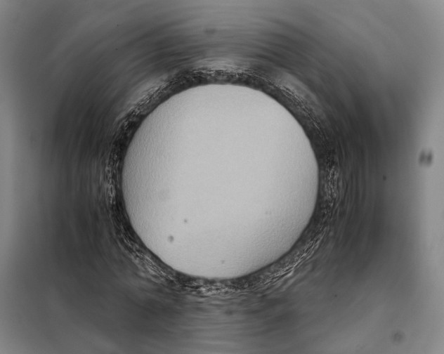 X0000097920774200804041523