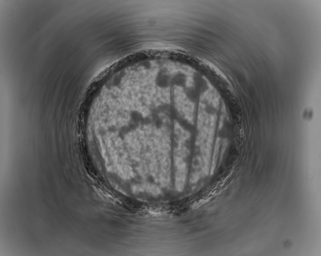 X0000097920775200804041523