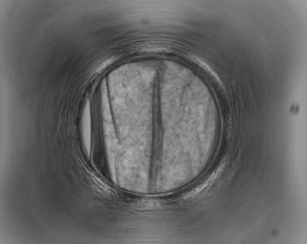 X0000097920777200804041523