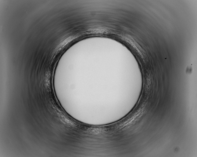 X0000097920778200804041523