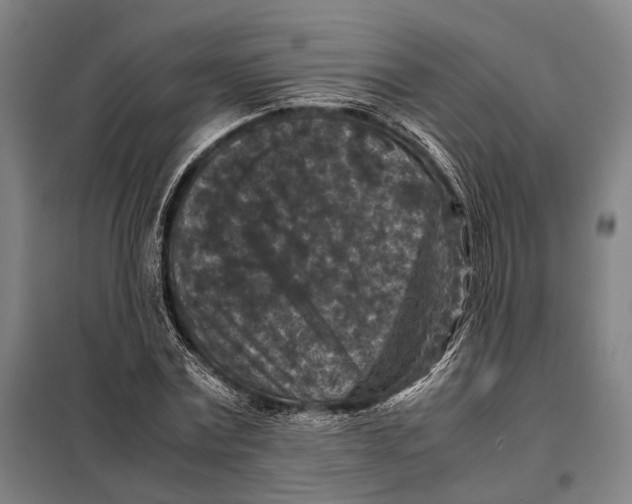 X0000097920779200804041523