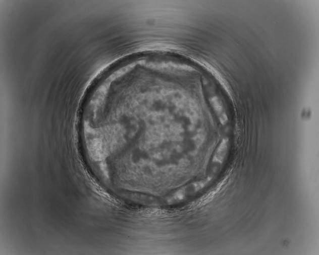 X0000097920783200804041523