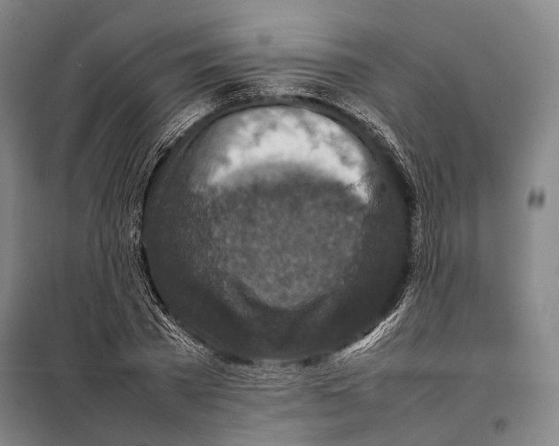 X0000097920785200804041523