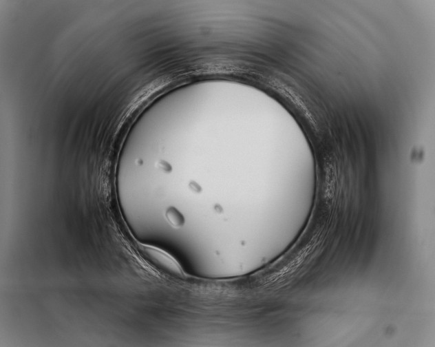 X0000097920786200804041523