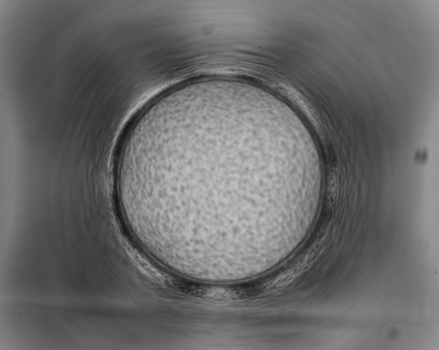 X0000097920787200804041523