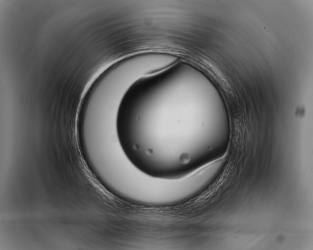 X0000097920788200804041523