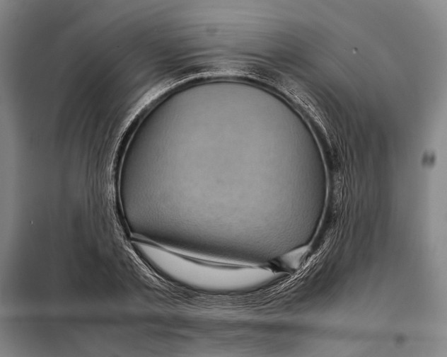 X0000097920789200804041523