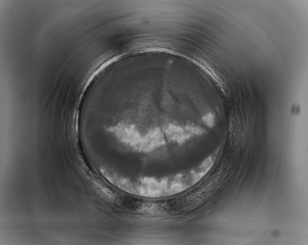 X0000097920790200804041523