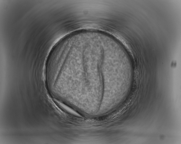 X0000097920791200804041523