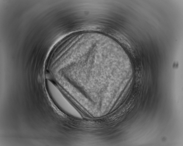 X0000097920792200804041523