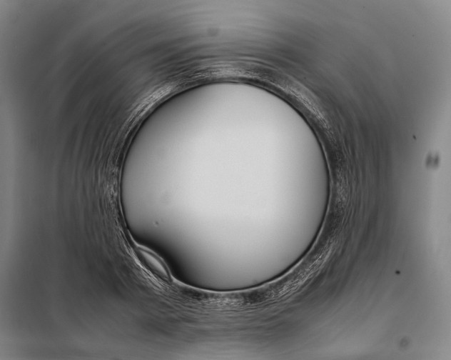 X0000097920793200804041523