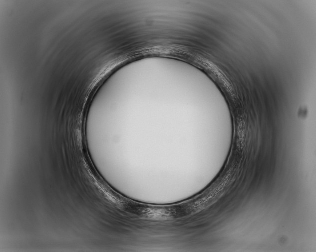 X0000097920794200804041523