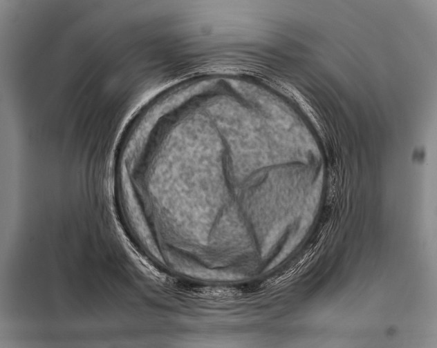 X0000097920795200804041523