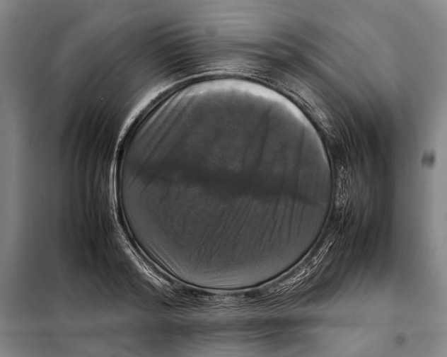 X0000097920796200804041523