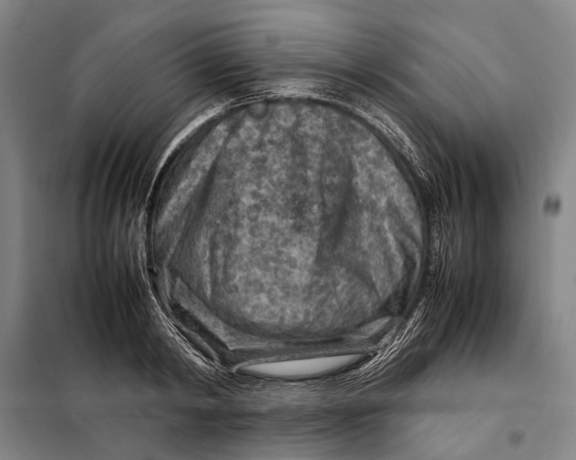 X0000097920798200804041523