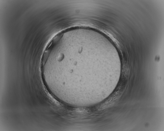 X0000097920799200804041523