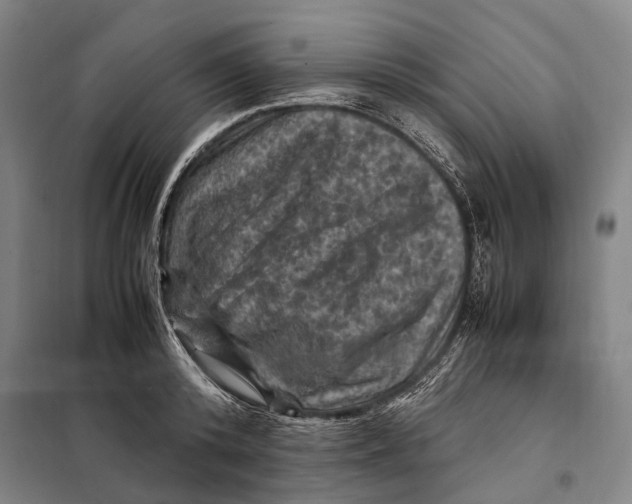 X0000097920800200804041523