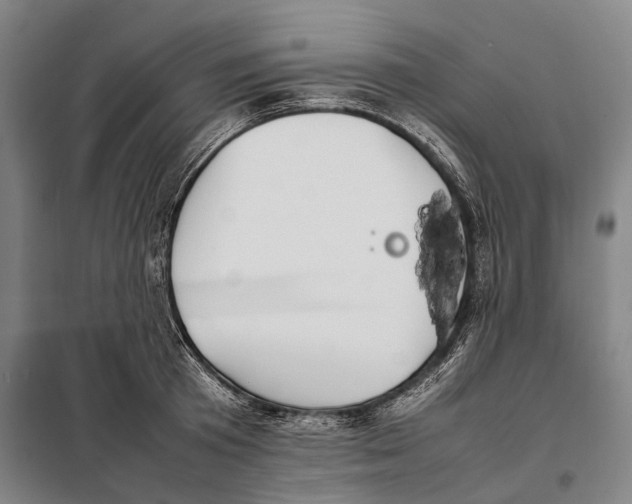 X0000097920801200804041523