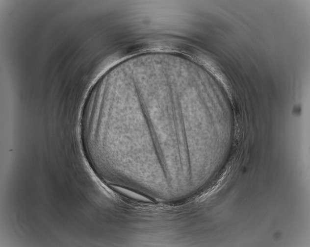 X0000097920803200804041522