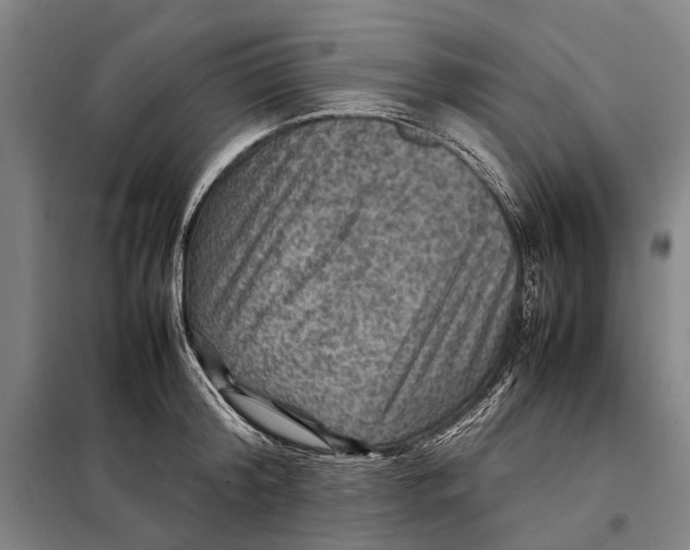 X0000097920804200804041522