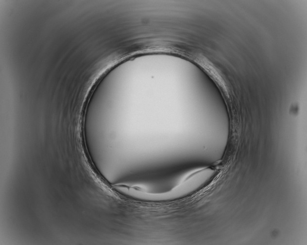 X0000097920805200804041522