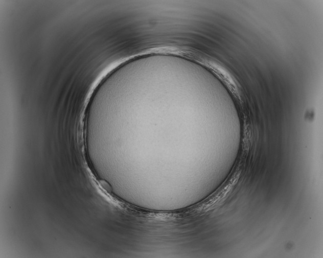 X0000097920808200804041522