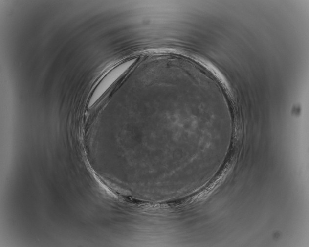 X0000097920809200804041522