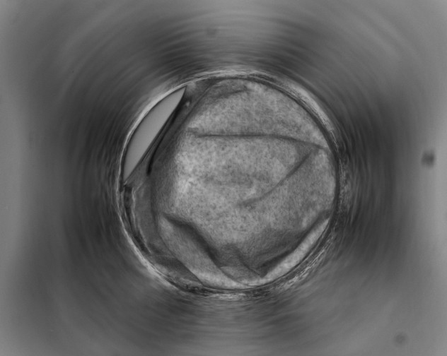 X0000097920810200804041522