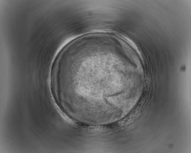 X0000097920811200804041522