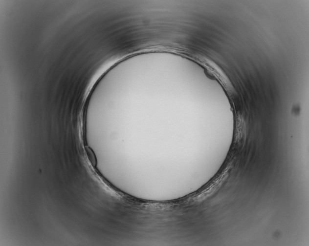 X0000097920812200804041522