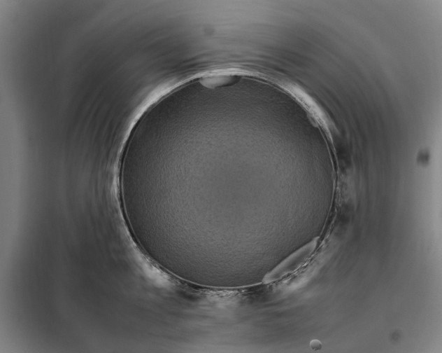 X0000097920813200804041522