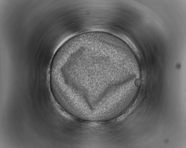 X0000097920814200804041522