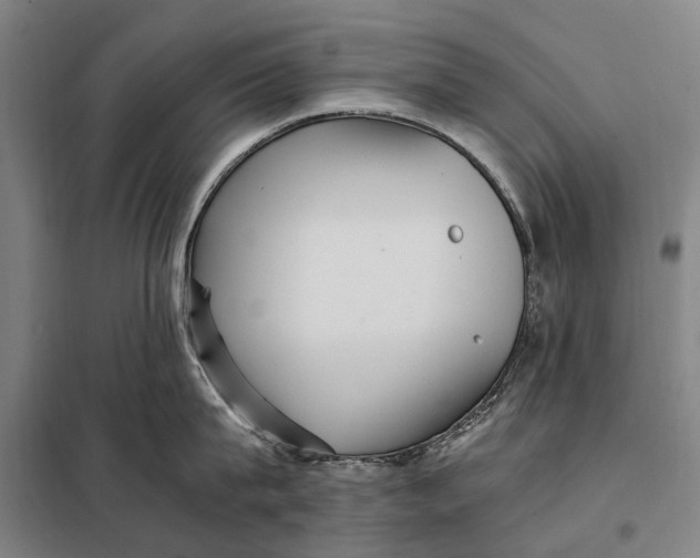 X0000097920815200804041522